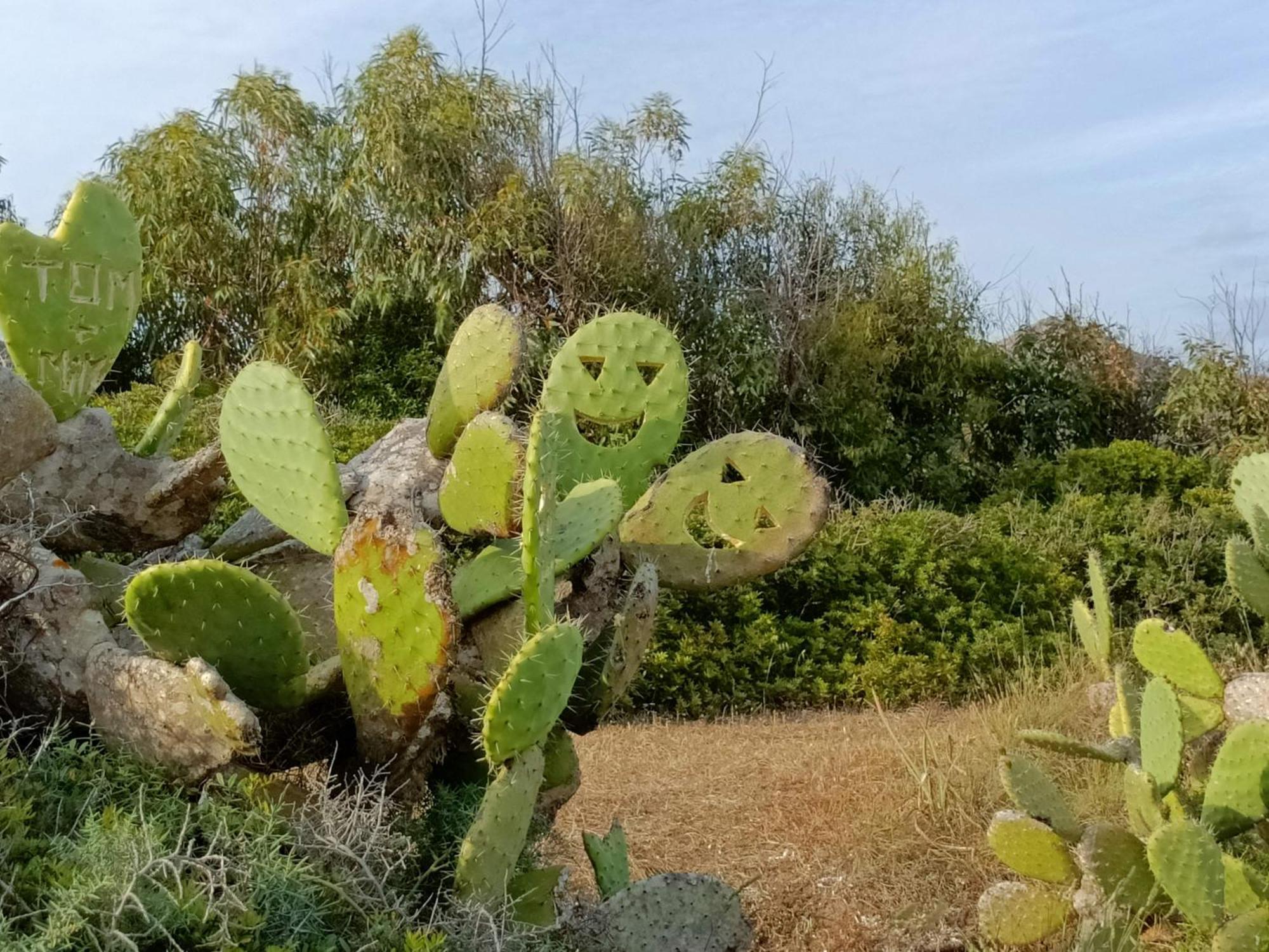 Appartamento Casa Bonaria - Iun R 6698 SantʼAntìoco Esterno foto